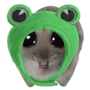 hamsterfrog