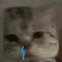 kittysad
