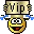 vip2
