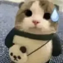 carsweat