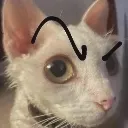 huh