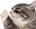 hesNotAlright