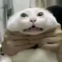 188