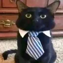 ClassyFella