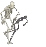 Skele