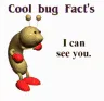 CoolBugFact