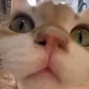 emoji_44