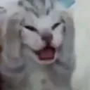 aghh