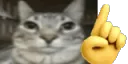 ErmIDontThinkSo