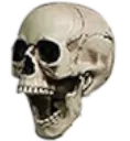 pogskull