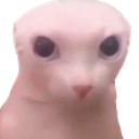emoji_115 Discord Emoji from #~ 𝐄𝐦𝐩𝐢𝐫𝐞 𝐖𝐞𝐬𝐭 𝟏𝟖𝟕