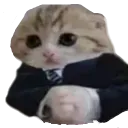 Baseg