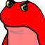 echTucDan