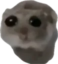 Sad_Hamster