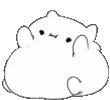 FatBongoCat
