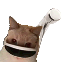 1275884454329716809.gif