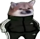 Dogdidas