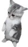 wot