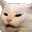 pogcat
