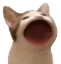 CatLaughOmegaLUL