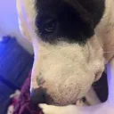 sideeye