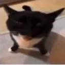 hi_vro