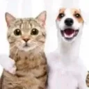 MeAndGang MeAndGang