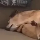 bubbles_zzz2