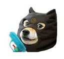 dg
