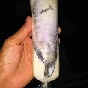 antojitosdemedianoche