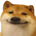 SmileDoge