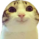 LilSmile