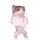 catdance