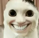 horrorcat