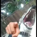 JAJAJA
