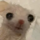 emoji_22