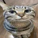 ImLookingAtYou