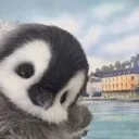 Babypenguin