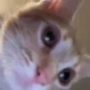 sidehello sidehello