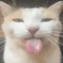lerolero