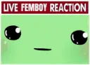 LiveFemboyReaction LiveFemboyReaction