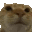 nono