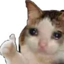 Catok