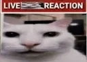 livereaction