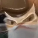 Erk