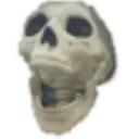 zz_skull