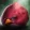 Biggestbird
