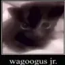 wagoogus