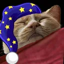 CatSleep