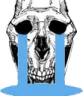 skullcrying skullcrying